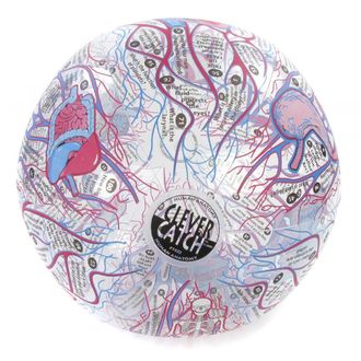 BALL CLEVER CATCH HUMAN ANATOMY