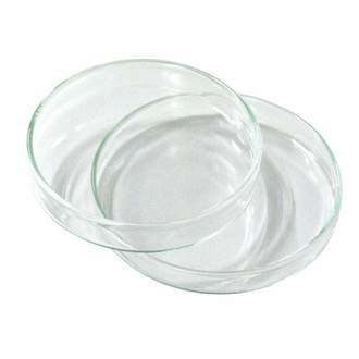 DISH PETRI BOROSILICATE GLASS 75mm d x 15mm h