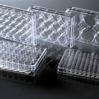 WELL CELL PLATE 48 WELL FLAT TC STERILE CASE 50