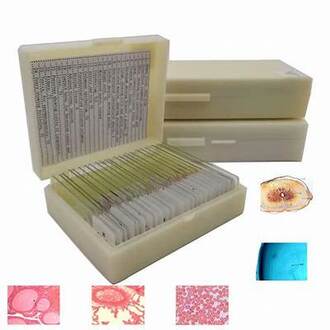SLIDE MICROSCOPE SET 25 PREPARED IN CASE HISTOLOGY