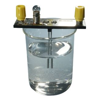 ELECTRODES S/S 2xRODS FIXED LAMP & 4mm SOCKET