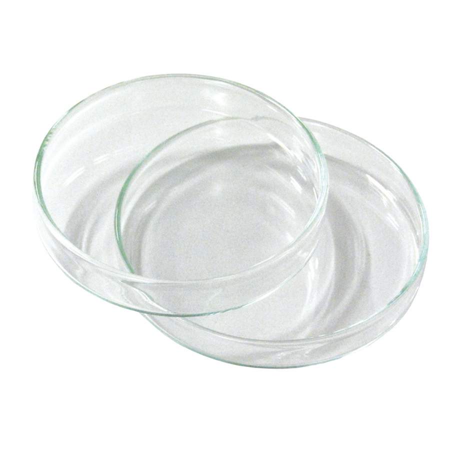 DISH PETRI BOROSILICATE GLASS 75mm d x 15mm h