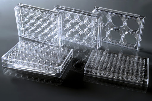 WELL CELL PLATE 6 WELL FLAT TC STERILE CASE 50