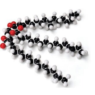 MODEL MOLECULAR SET GLYCERYL TRISTEARATE (FAT)