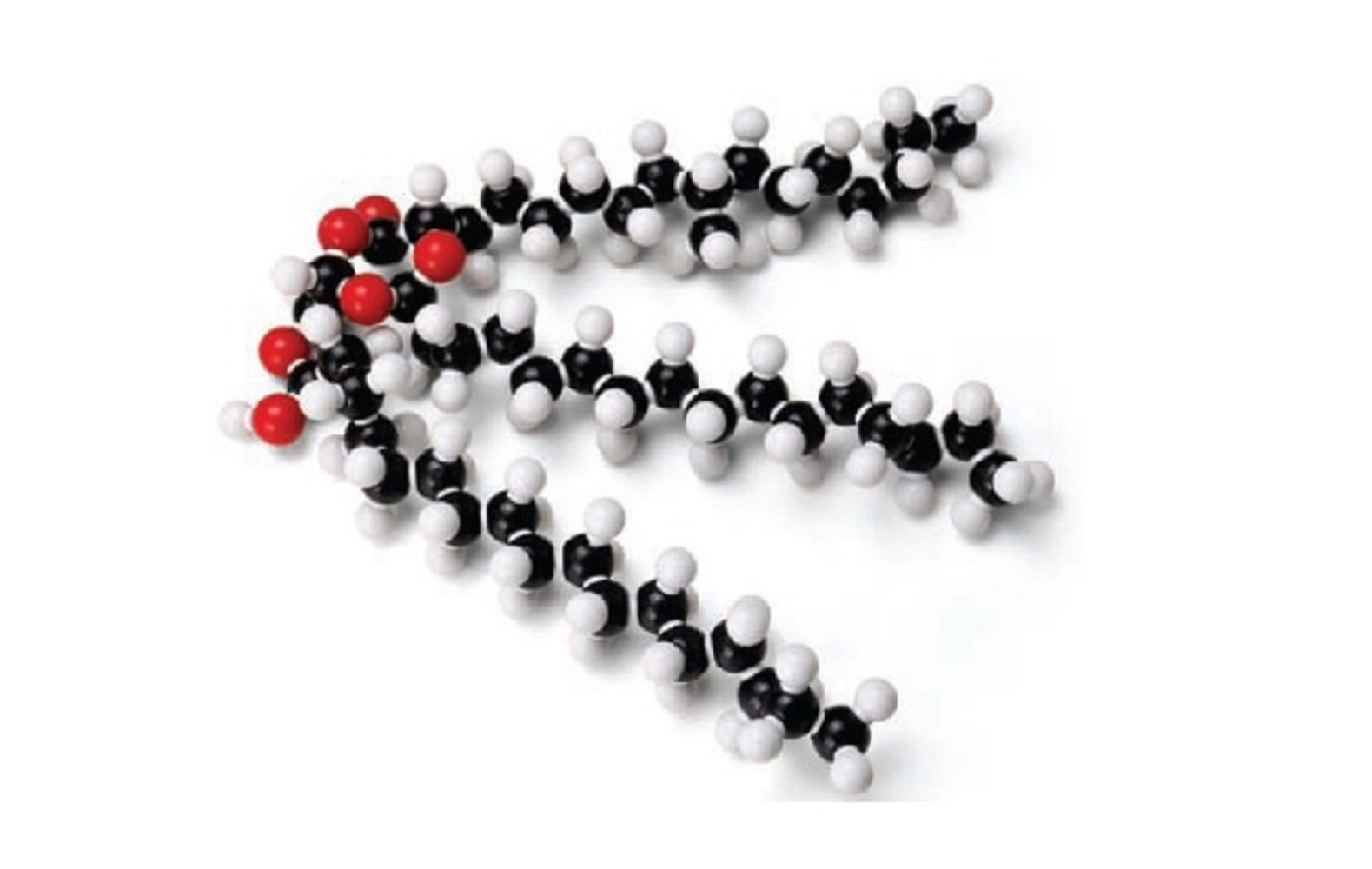 MODEL MOLECULAR SET GLYCERYL TRISTEARATE (FAT)