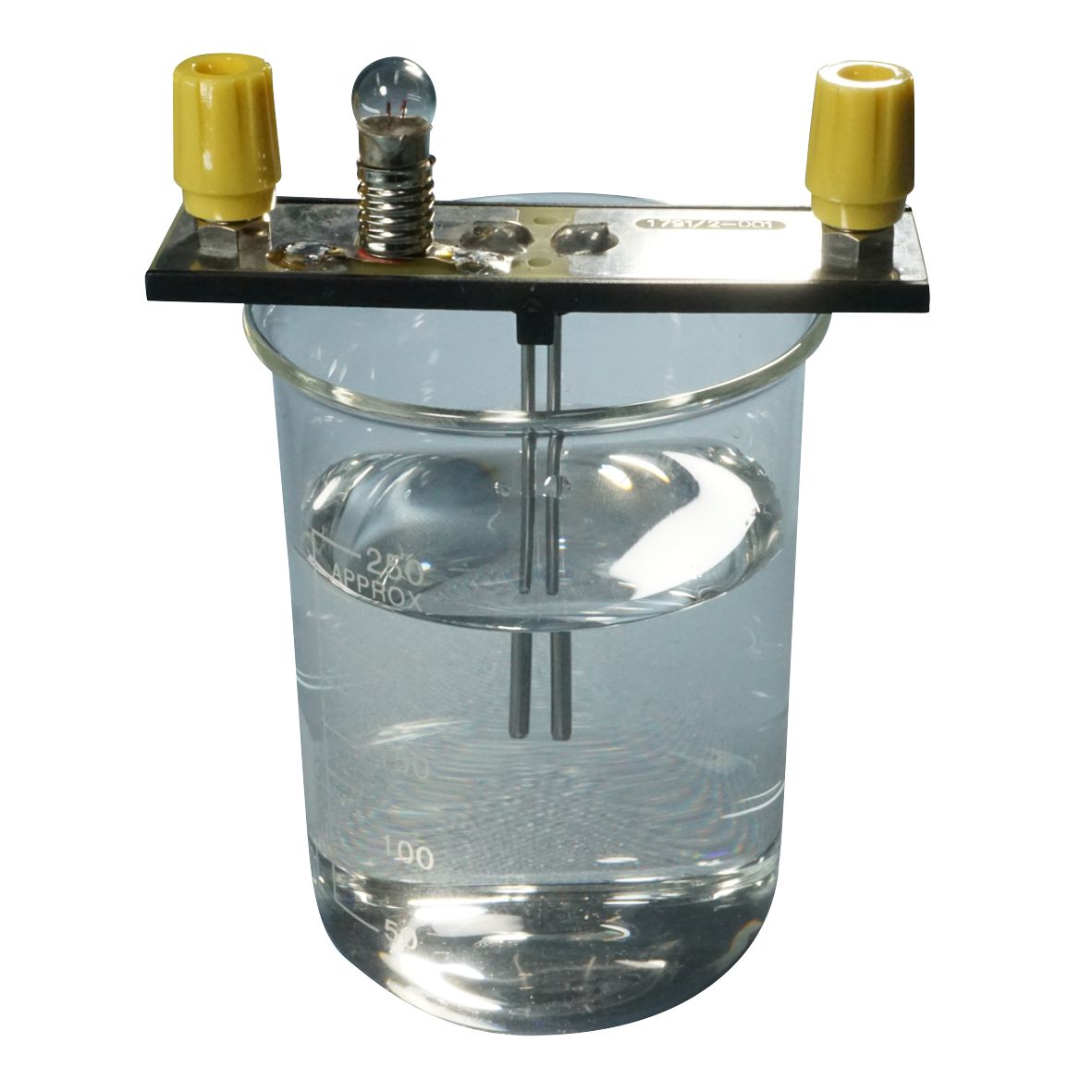 ELECTRODES S/S 2xRODS FIXED LAMP & 4mm SOCKET